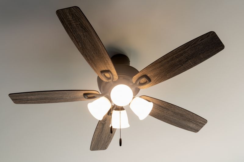 Ceiling Fan And Light Fixture Installation By A Handyman