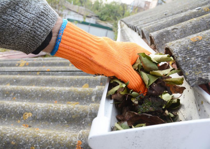Why Regular Gutter Cleaning Protects Your Home